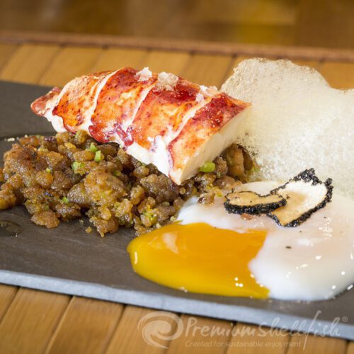 Bogavante canadiense - Imagen 3
