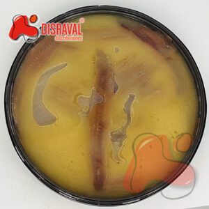 Tarrina de anchoas XXL con MANTEQUILLA AHUMADA DE COSTERA. 25 Filetes